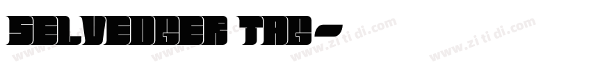 Selvedger Tag字体转换